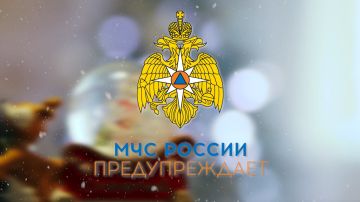 МЧС России напоминает: елочные игрушки должны быть из негорючего материала