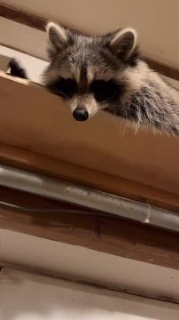 ������ ����, ������! �������� ��� ��� � ��������� ����������!