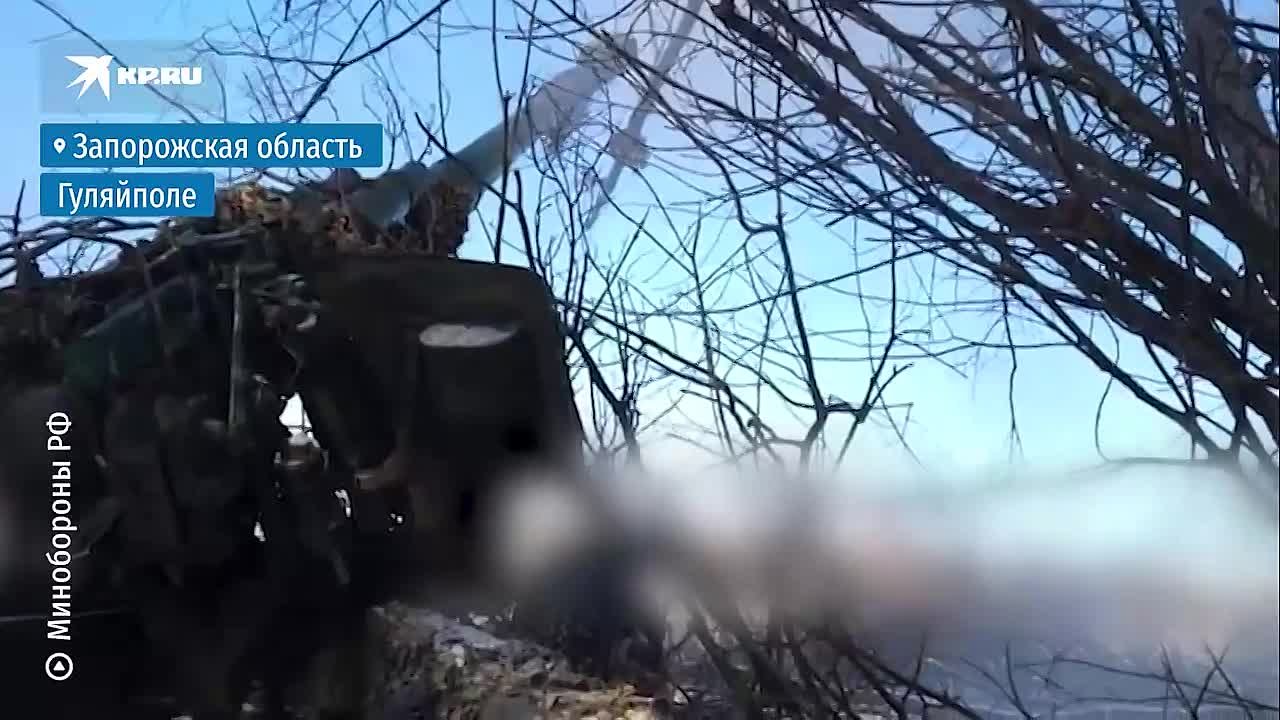 Артиллеристы ВС РФ уничтожили пункт управления дронами под Гуляйполем