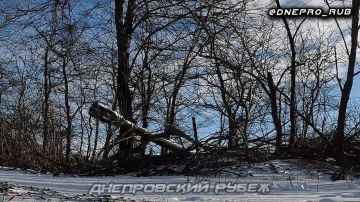 ������� �����-�� ���������� ��������� ���������� ��� ���������� �� ������ ������ ������