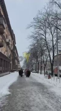 � ���������� ����� ��������, � � ����