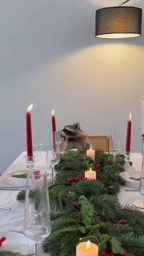 ������ ����, ������! �������� ��� ��� � ��������� ����������!