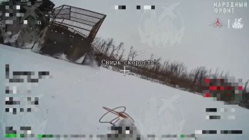 ����� ������������� ������ 39 ������� �������� �� ����� � ����������� �������