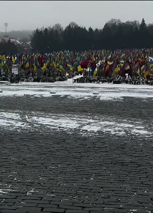 �� ���������� ������� ���������� ���������� ����� ��������, ������ ����� ����� �����
