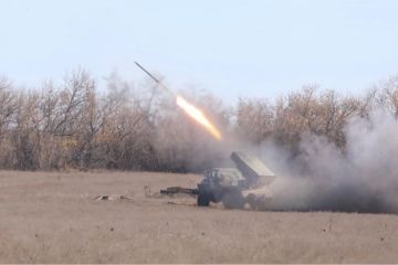 В Запорожской области уничтожена часть батальона ВСУ «Волки да Винчи»