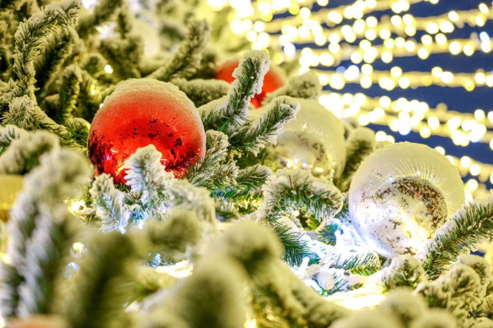 ����� ����: ������ ������������� ������� 2026 ���� � ��� ���� �������