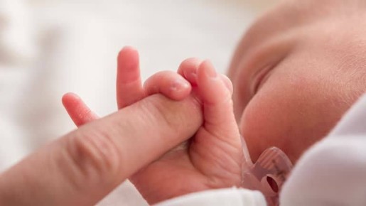 ������ ���������� � ����������� ������� ��������� � ����� ���� ����� �������