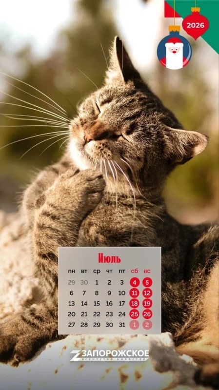 � ����� �����! ������ �� � �������, � � ��������!