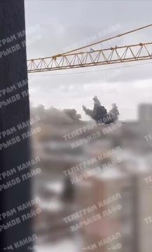 ���������� � ������� ���� "����������" �� ��������