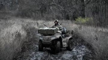 ����� �������: ������ ���������� ��� ���� ������� ����