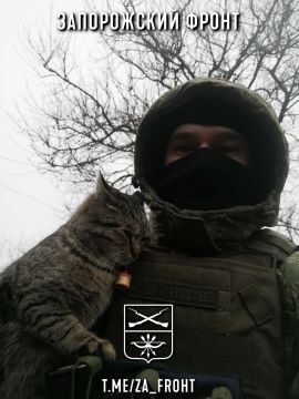 ���� ������� ���� � ������������ �����������