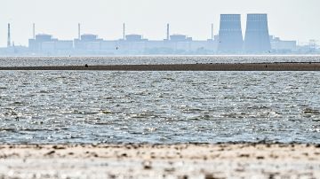 Автоматика отключила линию «Ферросплавная-1» на ЗАЭС