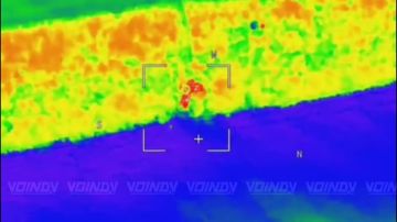 ��������� ����� �������� ������� ����������: ����������� ��������� � ����������� ����������� ������� �198 �� ����������� �����������