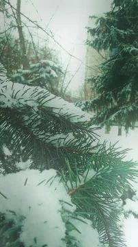 ������ ����, ������! ����� ��� ����� ��� ���������� ����, ����������� ������ �������������, ������� � ����� ����������� �����������, ���������� ��������� � �������������� �������!