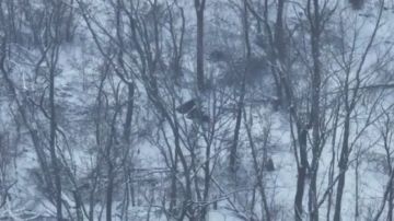 Во время зачистки одного из лесных массивов, российский штурмовик вплотную подобрался к укрытию с украинскими военнослужащими и закинул в нору мину