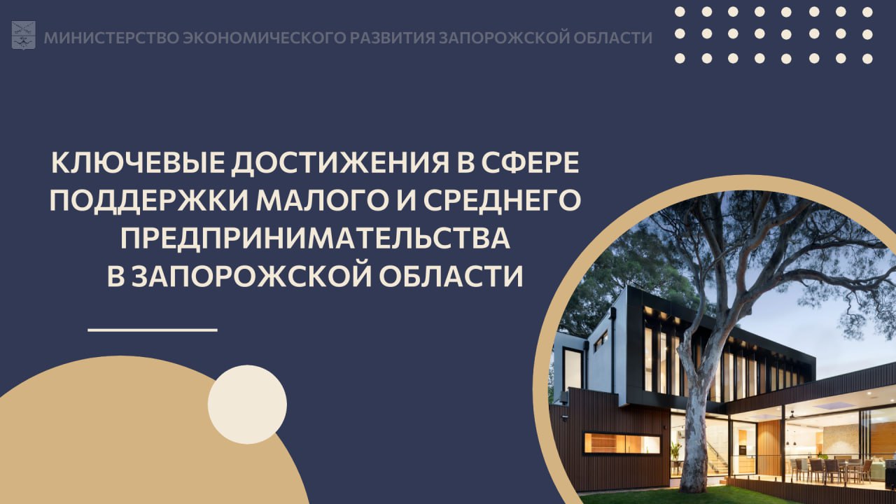 Ключевые достижения в сфере поддержки малого и среднего предпринимательства (МСП) в Запорожской области