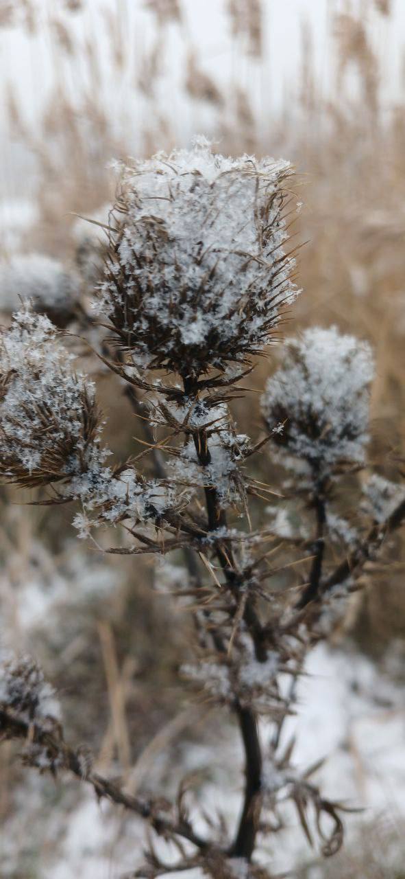 Желаем самого доброго, бодрого, счастливого, красивого, нежного, сладкого и прекрасного утра