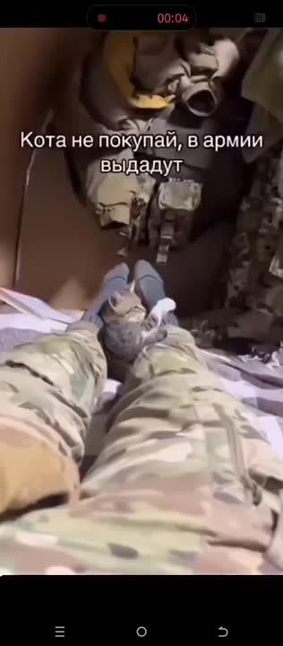 ������ ���� �����������, ����������� �������!