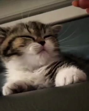 ��������� ��������� �����. ���������� ������������ � ������� � �����