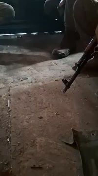 ����������� �����������. ����� �� ������� ����������