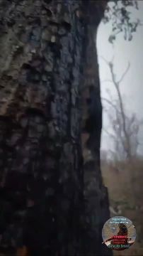 �������� �����: ������� ������� ������ �� ������� ����