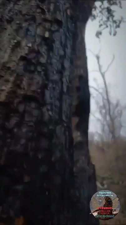 �������� �����: ������� ������� ������ �� ������� ����