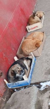 ������ ���������� ����! ������ �������� � ���! ���� ������ ���� ������� �����, ���� ������ ������� ��������