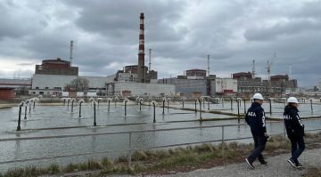 �������� ����: ���������� ������������� ���������� �� ����������� ��� ����������