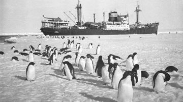 ���� �������: 5 ������. 1956, 70 ��� �����