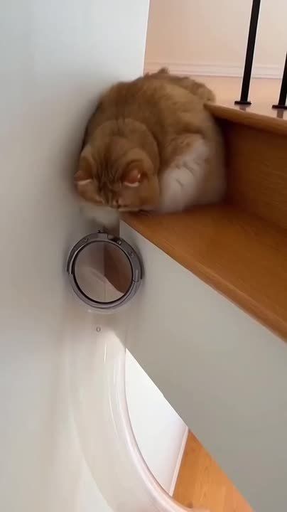 ������� �������� � ������ ������ ������