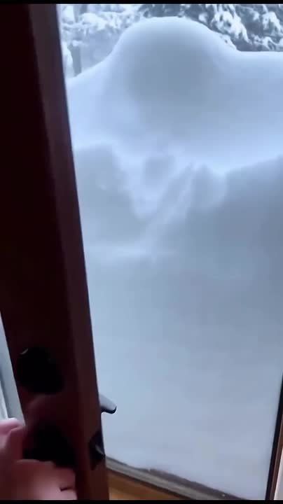 �������� ������ ���. ���������� �������� � ��� ���������� ����������� ��������