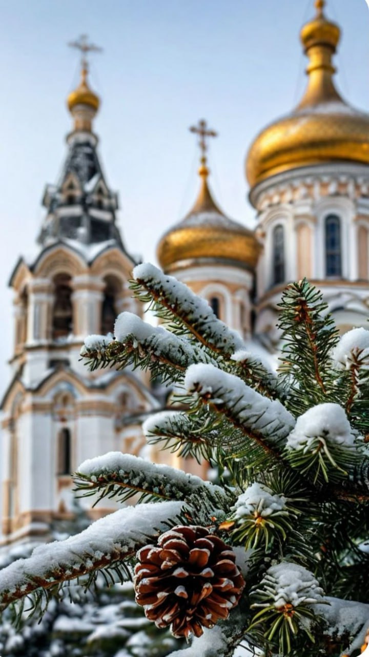 Доброе утро!. Сегодня — Сочельник, последний день Рождественского поста