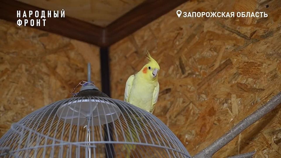 ������ ������� ���� ������ �� ����������� �����������