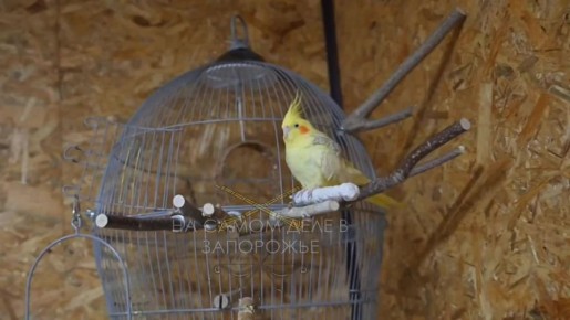 �� ����������� ����������� ������ ������ ������� �� ����� ����