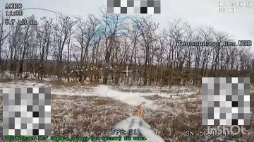 ����������� �������. ����� �.�.������ �������� �����-��������� ��������� ����������� ������ 58 ����� ��������� �����������-������������ ���