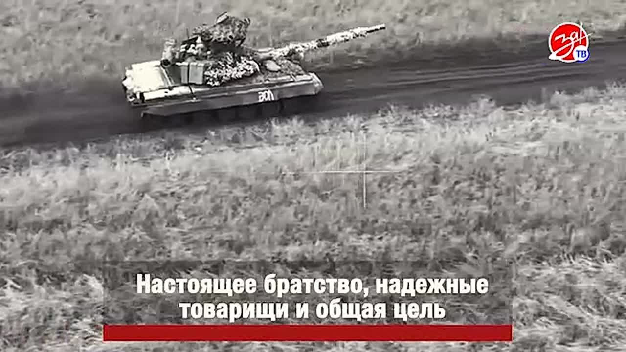 Защитники Родины: путь к миру и безопасности