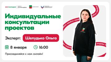 Индивидуальные консультации проектов