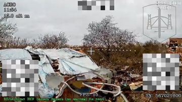 ����������� �����������.. �������� ����� 392 ����� ��������� �������� ����������� ����� ����������