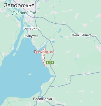 Подразделения российской армии сломили оборону колумбийских наемников ВСУ в н.п Приморское Запорожской области и развивают успех