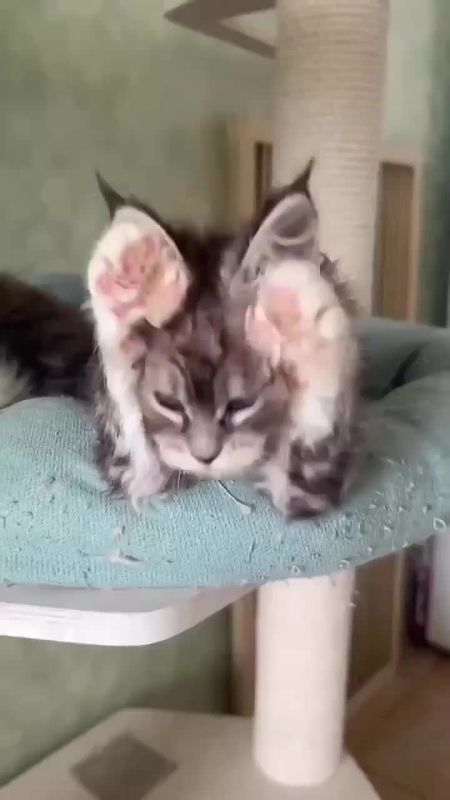 ��� � ����. �������� �����������, ���� ������ �� �����