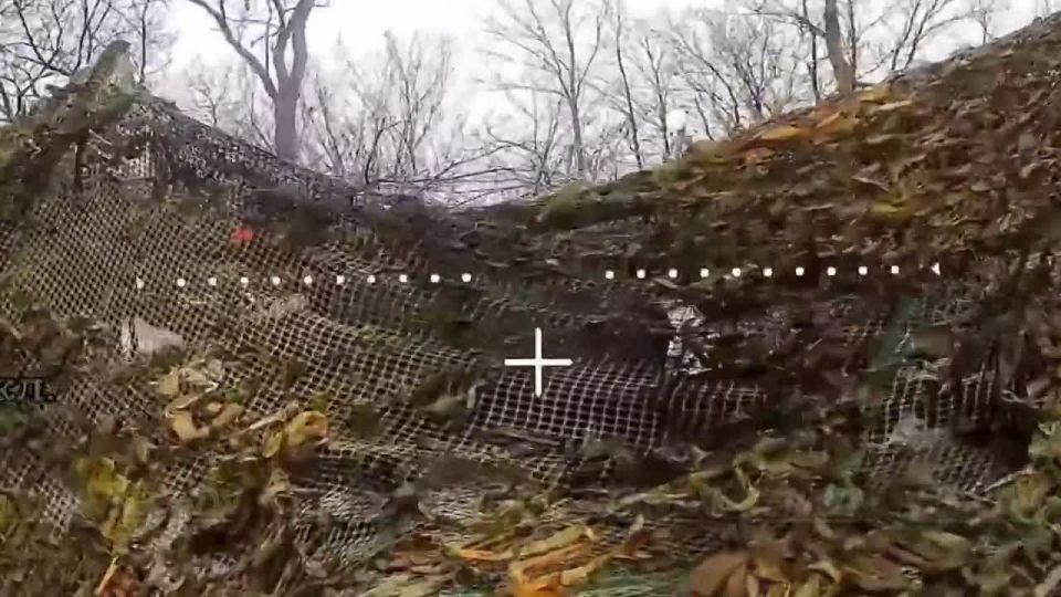 ����������� ����������� ������ 2�22 �������-�� ����������� ������� ���������� ������� ������ � ��������� ��� 305 ����������� �������������� ������� 5 ����� ����������� ����� "������" �� ����������� �����������