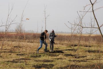 1 ��� ������ ����������� ��������� �������� ��������������� ������ �� ���