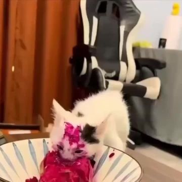 ���� ������� � �����. �������, � ������� ��������