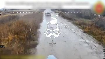 Отряд Пушкаря на связи!. Праздники - не повод отдыхать