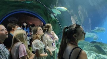 ����� 800 ����� �� ����������� ������� ����� ����������� ����������� ����� 4+85�