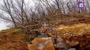 �� ������ � ������������ ����������� ������ ������� � ����������� �������