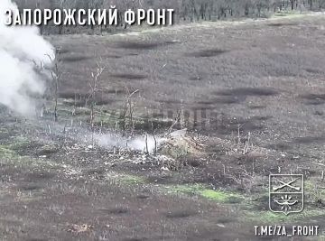 ����������� �����������. ���� ��������� ���������� ���������� ������� � ����� ���� ���������� � ������ �.�.�������