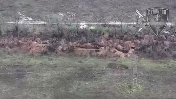 ��������� 1429-�� ����� ������� ������� �������� �� ����������� �����������