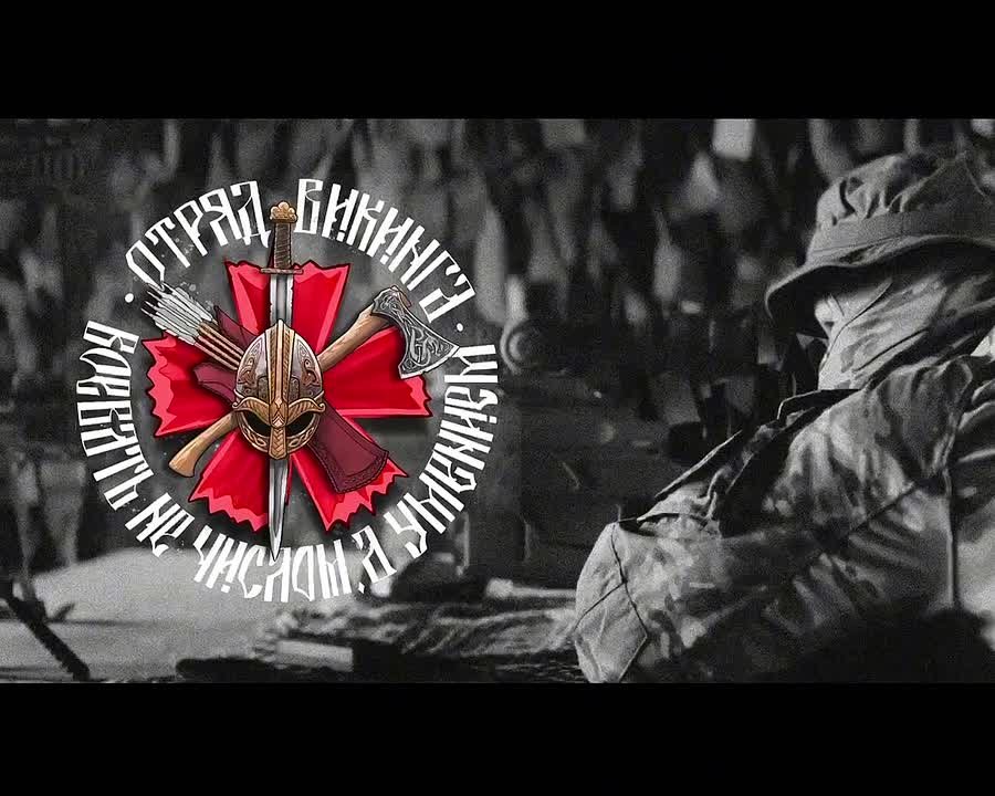 Удары дронов отряда "Викинг" по Запорожью