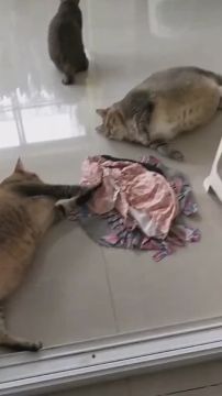 А вот и вечер. Просто мы, когда наконец доели все салатики